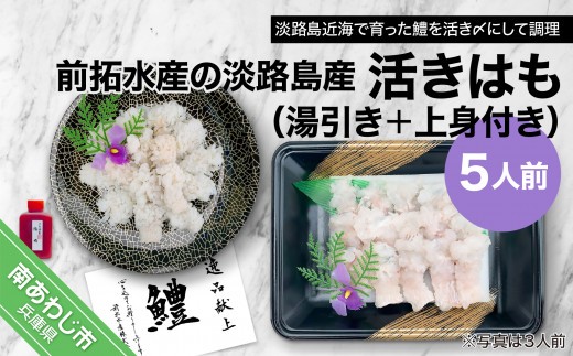 【冷凍】前拓水産の淡路島産活きはも（湯引き＋上身付き）5人前　◆配送6月3日～8月30日