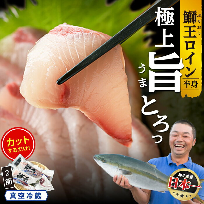 【ふるさと納税】【高評価 4.78】切って盛るだけ ロイン 2節 【選べる「鰤王」「新物 鰤王」】 テレビで紹介ぶりの王様「 鰤王 」 半身 切り身 真空パック 届いてすぐに食べれる 産地直送 長島町 鰤 冷蔵 ふるさと納税 ぶり 刺身 ぶりしゃぶ たたき 人気 【JFA】jfa-1484