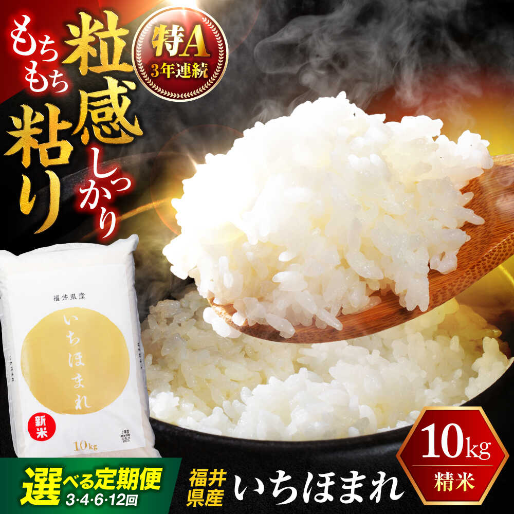 【ふるさと納税】【選べる定期便回数】 福井県産 いちほまれ 精米 (白米) 10kg 福井自慢のブランド米 一等級　福井県米 / コシヒカリ発祥 ブランド 特A常連 小浜市 / 若狭ふれあい市場[BFEL048]