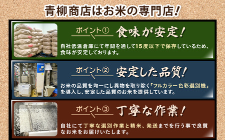 【新米】令和7年産 米 定期便3ヶ月コシヒカリ精米 5kg × 3回（計15kg）福井県産【白米 5キロ 15キロ こしひかり お米 ごはん 人気品種 産地直送 新生活 kome】 [e66-d002
