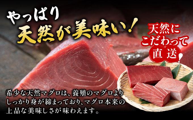 【数量限定】石垣島産 天然本マグロ600g (まぐろ赤身・中トロ・大トロのミックスセット) ヤエスイ マグロ船直送【順次発送】 | 産地直送 大トロ 大とろ 中トロ 中とろ 国産 まぐろ 鮪 天然 赤