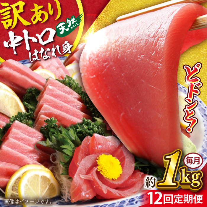 【全12回定期便】【訳あり】天然 まぐろ 中トロ はなれ身（約1kg）【横須賀商工会議所 おもてなしギフト事務局（本まぐろ直売所）】 [AKAK064]