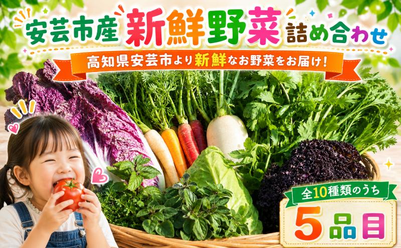 
                  野菜 詰め合わせ セット〈5種類〉産地直送 定期便 1~3人前 6000円 おまかせ 新鮮 旬  野菜定期便 お野菜 を もっと 野菜スープ 野菜ジュース 野菜 1日 蒸し器 レンジ ギフト お中元 無添加 旬野菜  詰め合わせ 宅配 お任せ 季節 野菜 詰め合わせ お試しセット 新鮮 季節の野菜 やさい 特産品 旬の野菜 サラダ 炒め物 スープ 鍋 煮物 yasai vegetable 夏の味覚
                