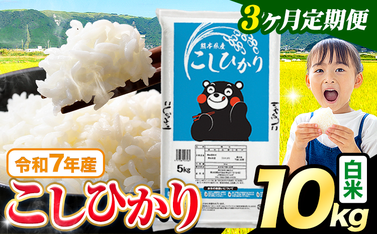 【3ヶ月定期便】令和7年産 米 白米 こしひかり 10kg《お申込み翌月から出荷》熊本県産 ふるさと納税 白米 精米 ひの 米 こめ ふるさとのうぜい コシヒカリ コメ お米 おこめ---reihoku_loc_605_mo3---