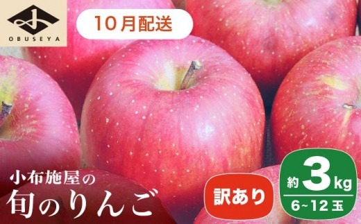 ［訳あり］ 旬のりんご 約3kg 6～12玉 ［小布施屋］ 傷 規格外 不揃い 訳アリ 家庭用 りんご 林檎 リンゴ 果物 フルーツ 長野県産 信州産 特産 産地直送 産直 数量限定 先行予約 令和8年度産 【2026年10月配送】［A-304a］