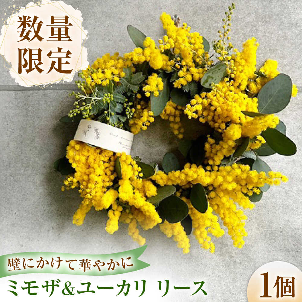 【ふるさと納税】雑貨 ミモザとユーカリのリース【3月下旬から4月上旬順次発送】 / ミモザ ユーカリ リース ドライフラワー 花飾り インテリア雑貨 ドア飾り 大阪府 / 大阪府藤井寺市/JamFlowerSalon[BLAW002]