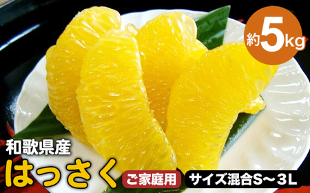 和歌山県 由良町産 はっさく 約5kg ご家庭用 サイズ混合  S～3Lサイズ