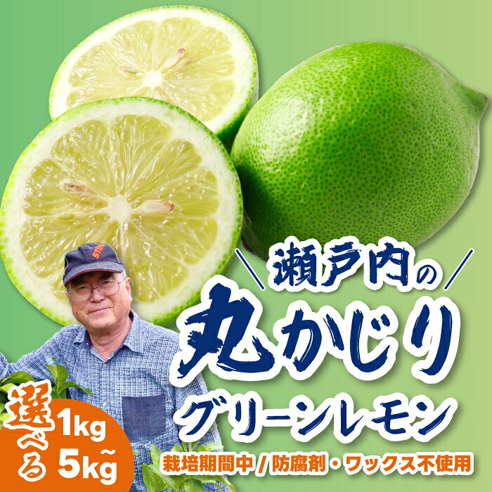 【ふるさと納税】グリーンレモン 1kg/3kg/5kg 訳あり 選べる容量《栽培期間中：防腐剤・ワックス不使用》2026年10月発送予定 檸檬 柑橘 果物 くだもの フルーツ 瀬戸内 251001-r