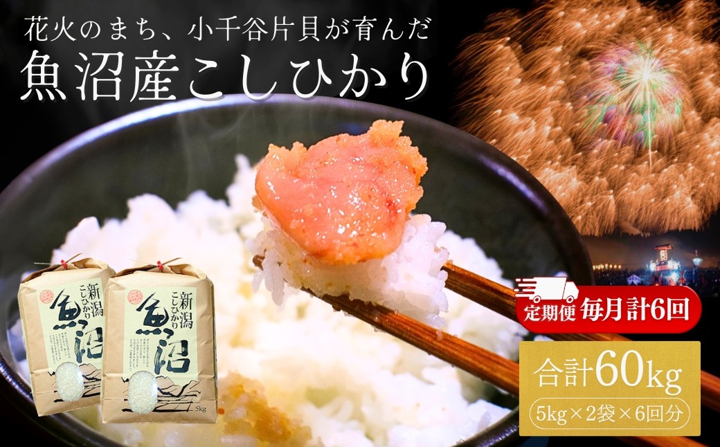 
                  【コシヒカリ 定期便】令和7年産 魚沼産コシヒカリ 10kg (5kg×2袋) × 6回 (計60kg) 毎月お届け 米萬商店 | 半年コース 四尺玉の町・片貝産 新潟 白米 頒布会 産地直送 老舗米屋の厳選米 新潟県産コシヒカリ 新潟県産こしひかり 魚沼コシヒカリ お米 米 こしひかり 白米 精米 ブランド米 特A評価 新潟県 小千谷市【0002-KM07DB00-04】
                