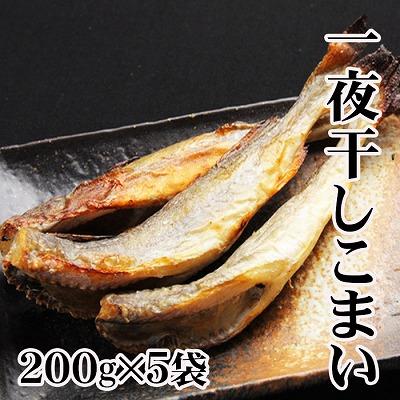 ふるさと納税 根室市 【北海道根室産】一夜干しこまい200g×5袋 A-36012