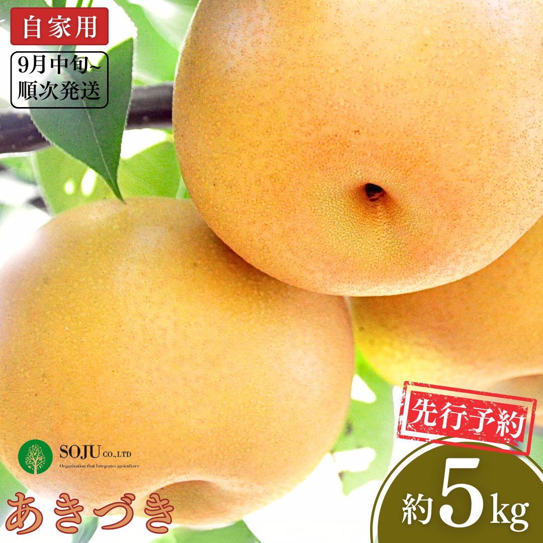 【ふるさと納税】先行予約 和梨 あきづき 自家用 約5kg [9月中旬から発送予定] 令和7年度 新潟フルーツ 新潟県産 梨 [三条果樹専門家集団]【010P063】