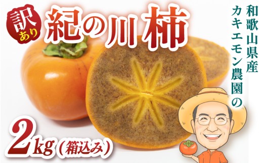お試しに！【訳あり・ご家庭用】紀の川柿 約2kg(箱込) カキエモン農園 【2026年10月中旬～11月下旬頃順次発送】/ 和歌山県 かつらぎ町 果物 くだもの フルーツ 柿 かき 和歌山 人気 送料無料