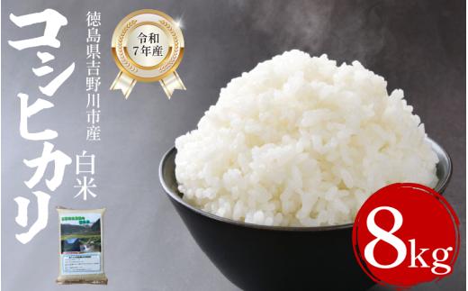 【先行予約】令和7年産米 白米 選べる 容量 8kg （2kg × 4袋 ）コシヒカリ 令和7年度産 お米 こめ 棚田米 白米 精米 ごはん ご飯 白飯 ゴハン  小分け 便利  徳島県 吉野川市