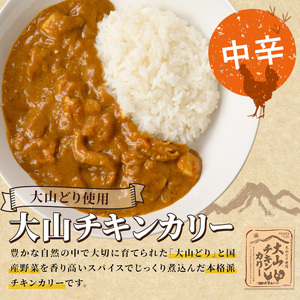 大山カリーセット(2種・計6個)鳥取県 境港市 カレーライス カレー ビーフカレー ビーフカリー チキンカレー チキンカリー 黒毛和牛 大山どり 鶏 鳥 ブランド鶏 本格 本格派 レトルト 国産 野菜