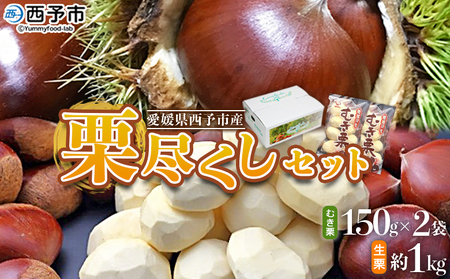 【先行予約】＜栗尽くしセット（むき栗150g×2袋・生栗1kg）愛媛県西予市産＞ くり 生栗 剥き栗 フルーツ マロン モンブラン 家庭用 栗ご飯 栗きんとん 栗の甘露煮 秋の味覚 特産品 国産 宇都宮物産 愛媛県 西予市【冷蔵】『2026年9月中旬～10月下旬迄に順次出荷予定』UUB0051