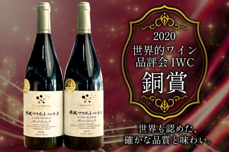【定期便12回】赤ワイン 穂坂マスカット・ベーリーＡ シングル・ヴィンヤード 750ml 2種 アルコール度 12%