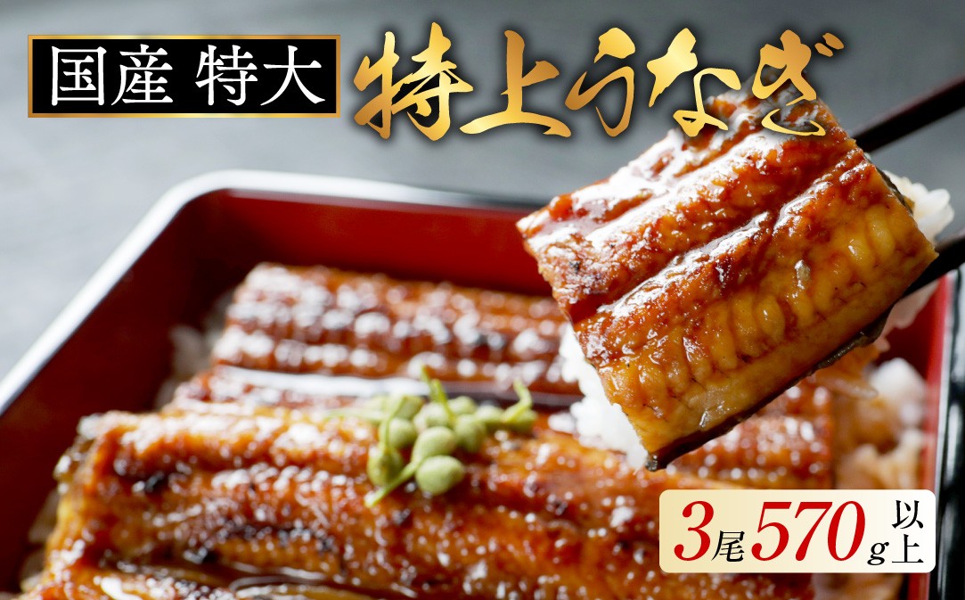 
                  国産 特大 特上うなぎ 190g 3尾 （ 国産 うなぎ 鰻 ウナギ 蒲焼き 蒲焼 かばやき 魚 魚介 魚貝 海鮮 うな重 ひつまぶし 蒲焼 訳あり ギフト 人気 おすすめ 北海道 別海町 190g 3尾 国産 うなぎ 鰻 ウナギ 蒲焼き 蒲焼 かばやき 魚 魚介 魚貝 海鮮 うな重 ひつまぶし 蒲焼 訳あり ギフト 人気 おすすめ）
                