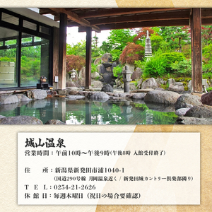  入場券 4枚 温泉 サウナ 温泉【入場券】サウナ shiroyama001