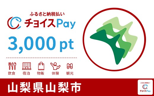 
            山梨市チョイスPay 3,000pt【会員限定のお礼の品】
          
