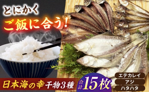 一度食べたらやみつき！恵曇一夜干しセット3種×5尾 島根県松江市/有限会社丸三商店 [ALCP002]｜干物 一夜干し アジ 鯵 あじ カレイ 鰈 かれい 魚 はたはた ハタハタ 開き 山陰沖 日本海 鹿島町 セット