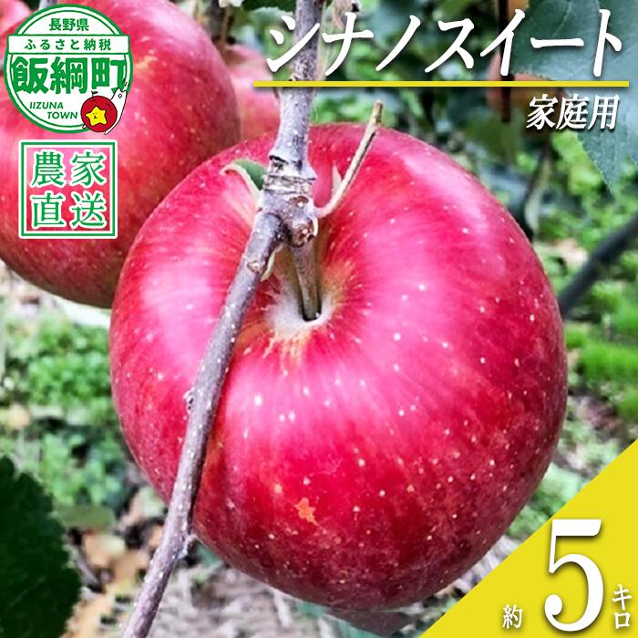 【ふるさと納税】 りんご シナノスイート 家庭用 5kg サイズおまかせ 井澤農園 沖縄県への配送不可 令和8年度収穫分 エコファーマー認定 長野県 飯綱町 〔 信州 果物 フルーツ リンゴ 林檎 長野 14000円 予約 農家直送 〕発送時期：2026年10月中旬〜2026年11月上旬 {**}