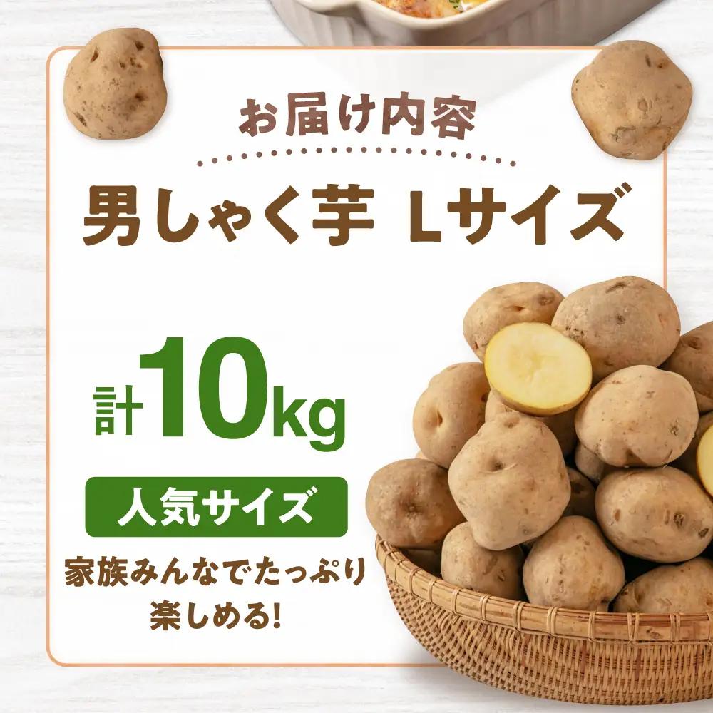  【先行予約】じゃがいも 男爵芋 10kg  [AJAK008] じゃがいも