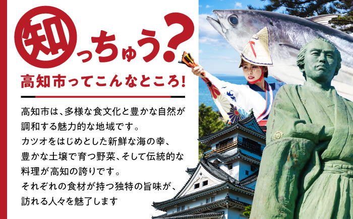 カツオたたき 6人前 約700g 【興洋フリーズ株式会社】 [ATBX054]