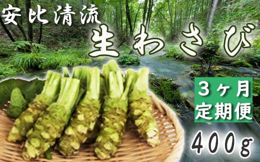 岩手県産 生わさび 400g 3ヶ月定期便 【安比清流山葵園】 ／ 山葵 ワサビ 薬味 産地直送 新鮮