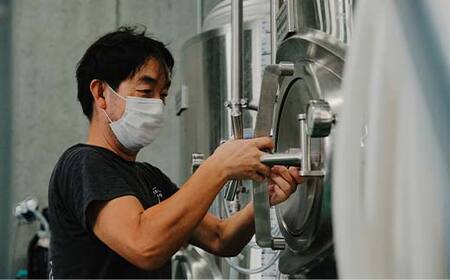 【Toshi Ishii】日本を代表するブリューマスターが造る「ORIHIME」 IPA 355ml×48缶 【 クラフトビール お酒 栃木県 足利市 】  F7Z-1451