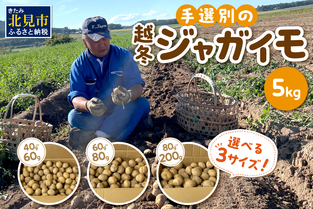 【予約：2026年2月上旬から順次発送】【選べる3サイズ】宇野さんの手拾い、手選別の越冬ジャガイモ 5kg ( 芋 野菜 選べる )【167-0003-2026】