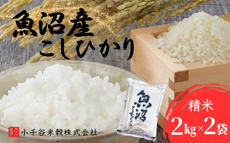 魚沼産コシヒカリ 2kg×2袋 小千谷米穀 魚沼地域