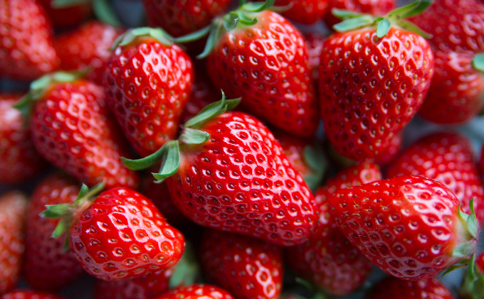 いちご 川瀬農園 紅ほっぺ 2パック 苺 イチゴ 果物 フルーツ くだもの 国産