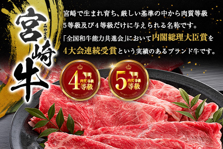 宮崎牛 ビーフジャーキー 10袋 (30g×10袋) おつまみ 宮崎県産