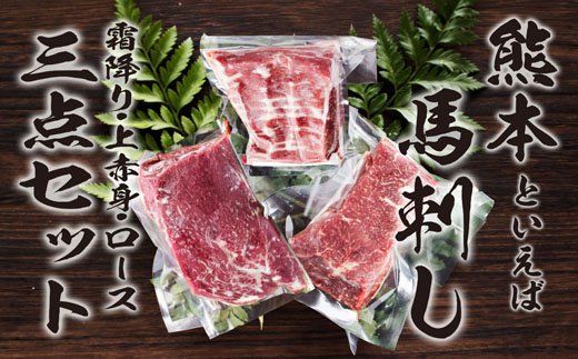 【ふるさと納税】特選馬刺しセットB 合計300g 3種類 セット 霜降り100g 上赤身100g ロース100g 馬肉 馬刺し 食べ比べ セット 詰め合わせ ブロック 冷凍 送料無料《90日以内に出荷予定(土日祝除く)》