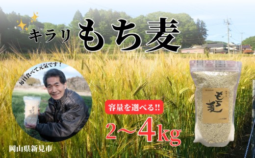 
                  容量選べる！令和8年産 2026年産 キラリもち麦 【2026年8月から発送】
                