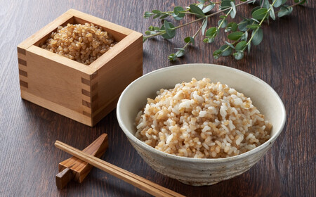 r05-10-045 発芽玄米ごはんパック 180g×10個セット