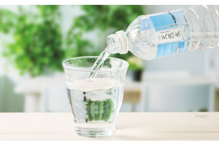 LDC自然の恵み天然水500ml×48本　さわやかな飲み心地のやさしい軟水