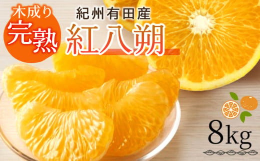 G7105_紀州有田産 木成り完熟 紅八朔 8kg