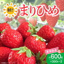 【ふるさと納税】朝摘み 完熟 まりひめ いちご 約300g×2パック (合計約600g)