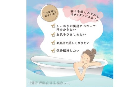 お風呂で使う汗かきエステセット　13個入（6ヶ月分）　＜汗かきエステ気分シリーズ＞ ※離島への配送不可
