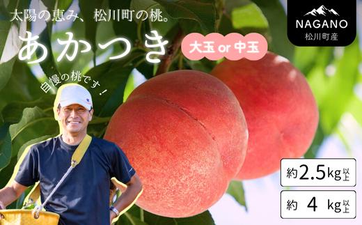 
            【先行予約】桃 あかつき 大玉 or 中玉 約2.5kg ～ 4kg 贈答品質 農家直送 ／2026年7月中旬頃から発送予定｜ 長野県 南信州 松川町 モモ 贈答 産地直送 新鮮  もも 甘い 冷蔵便 クール便 KM01 KM02
          