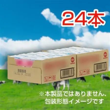 毎日牛乳 毎日フルーツミルク 200ml紙パック×24本入【1282170】
