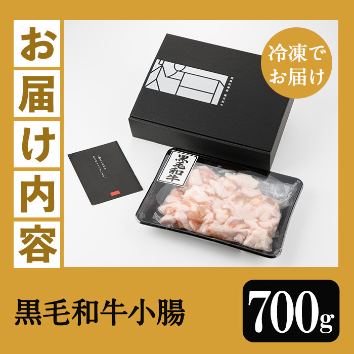 ＜2026年お中元ギフト＞鹿児島県産黒毛和牛 小腸(計700g) 鹿児島県産 ホルモン もつ鍋 焼肉 鍋 焼肉用 焼き肉 バーベキュー 冷凍 牛肉 肉 もつ モツ 内臓 国産牛 モツ鍋 もつなべ 九州