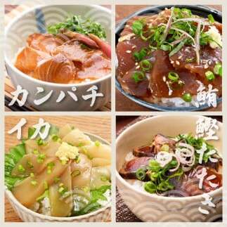 【6回定期便】海鮮漬け丼の素（7種×各2P）セット サバ 鯖 タイ 鯛 ブリ 鰤 カンパチ マグロ 鮪 イカ カツオ 鰹 たたき 海鮮丼 新鮮 魚 おかず おつまみ 惣菜 小分け 簡単 お取り寄せ_イ