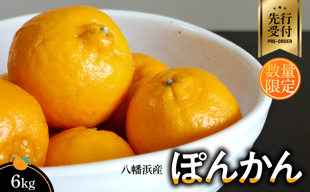 【先行受付】八幡浜産・ぽんかん6kg[数量限定!]【C56-11】【1138963】 YWTAS006