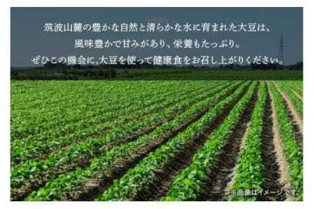 大豆 30kg 極小粒 岡田ファーム だいず ダイズ 国産 小粒 大容量 料理 煮豆 豆乳 納豆 用途多彩 健康食品 高たんぱく 保存食 産地直送 送料無料 (B02-026)