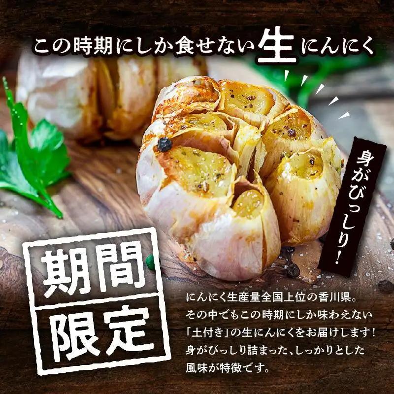 土付きにんにく 約2kg【2027年5月上旬～2027年6月中旬配送】| にんにく