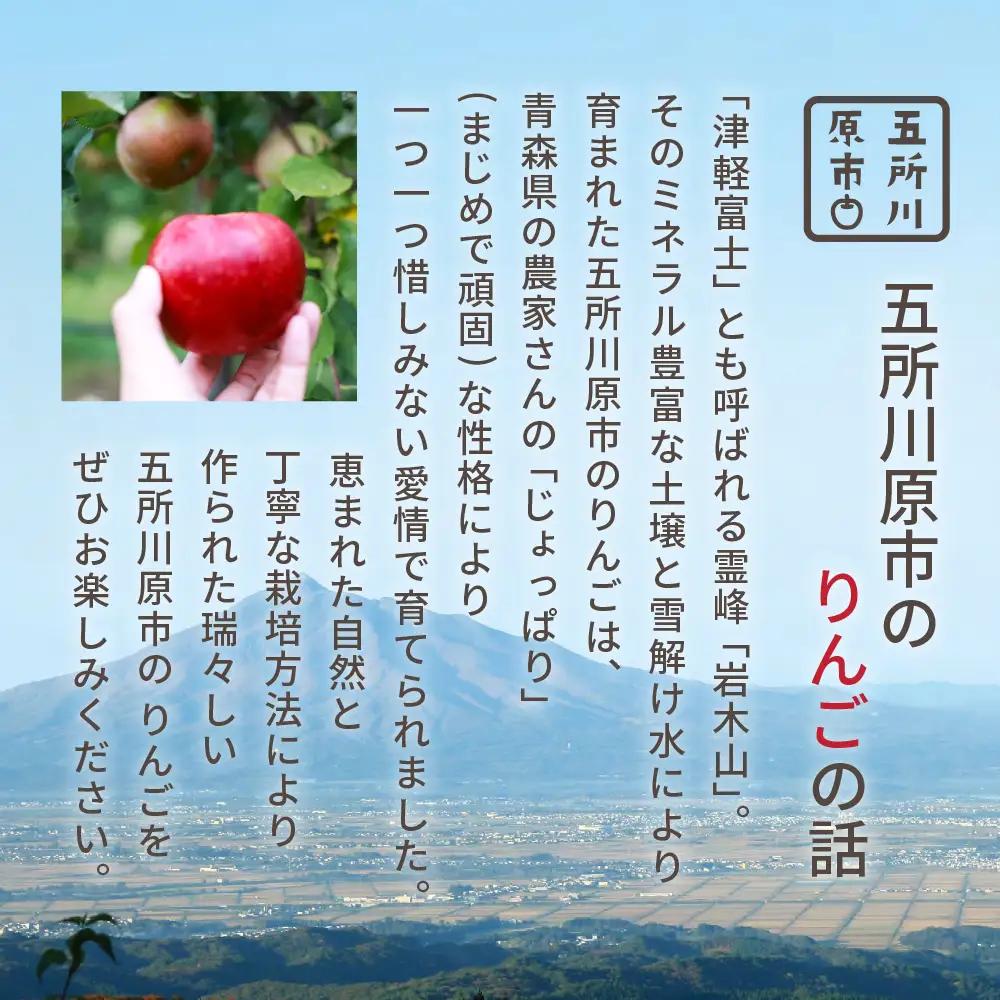【2026年11月前半発送】りんご 約5kg 2品種おまかせ ≪特選～特秀≫ 青森県産 贈答用りんご