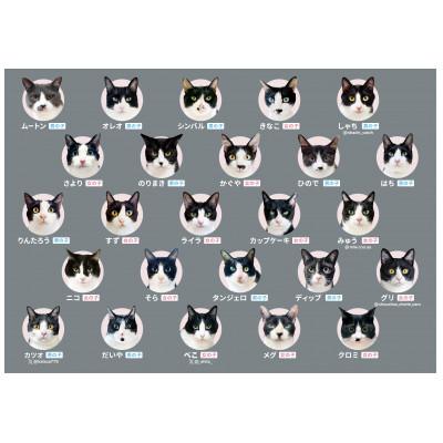 ふるさと納税 中野区 白黒つけない平和なゲーム!ハチワレあわせ |  | 01