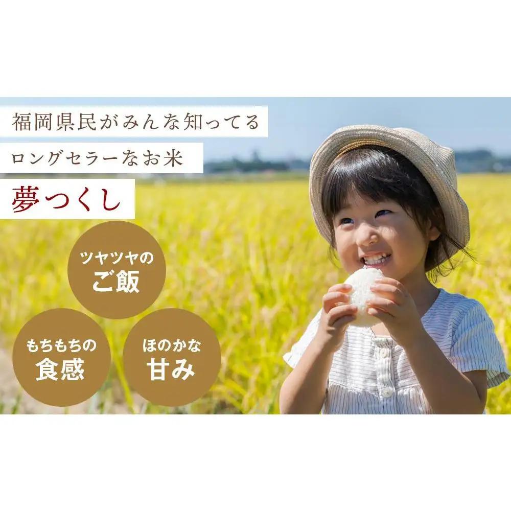 米【令和7年産】 夢つくし 5kg セット| 米 